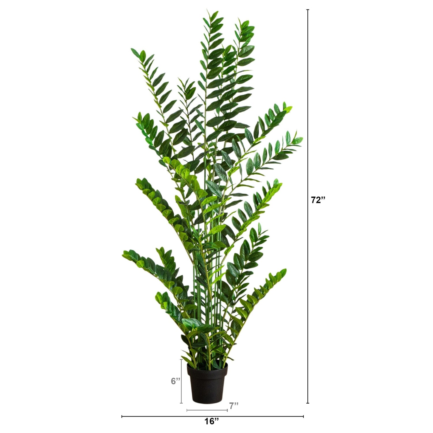 6' Artificial Zamioculcas Plant