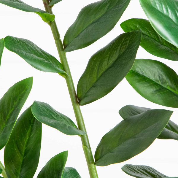6' Artificial Zamioculcas Plant