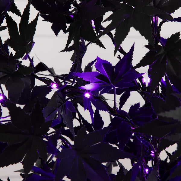 6' Pre-Lit Artificial Halloween Black Maple Tree with 300 Orange & Purple LED Lights