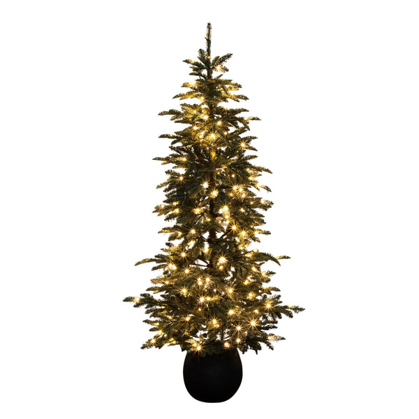 6' Pre-Lit Artificial Pine Christmas Tree in Round Black Decorative Planter with 60 Warm White LED Lights