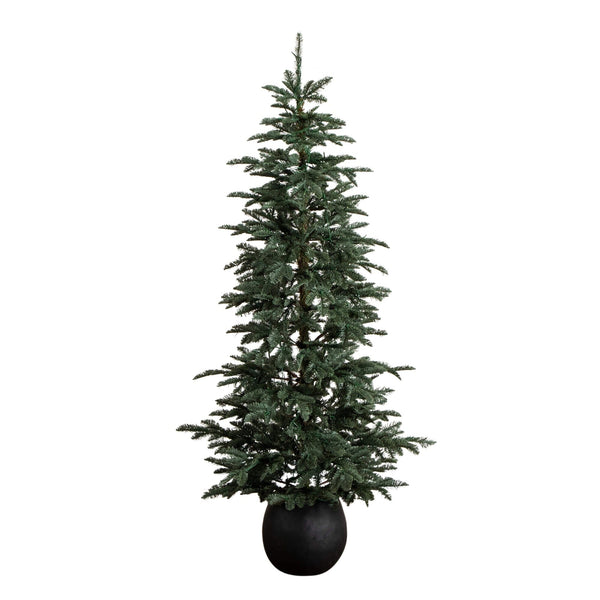 6' Pre-Lit Artificial Pine Christmas Tree in Round Black Decorative Planter with 60 Warm White LED Lights
