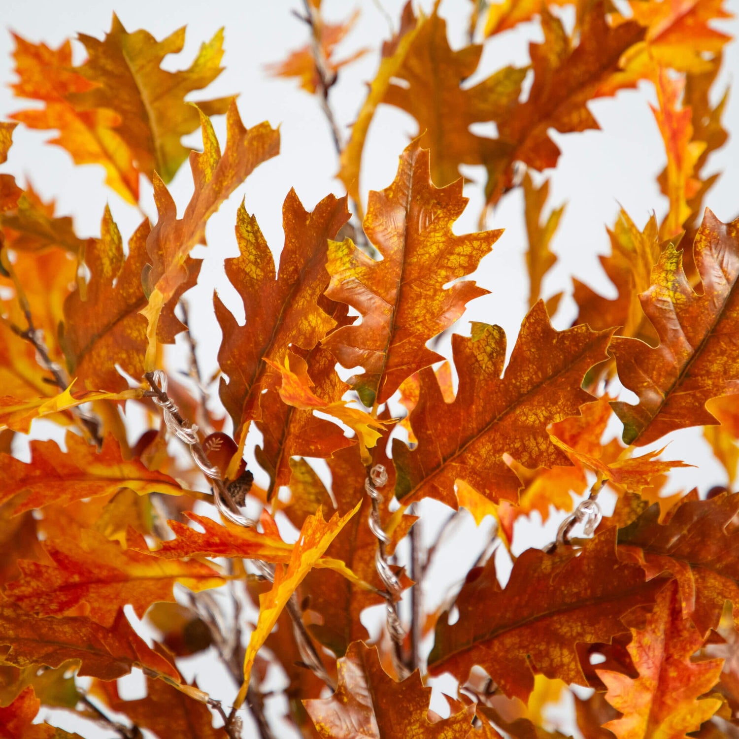 6' Pre-Lit Burnt Orange Autumn Maple Artificial Fall Tree with 300 Warm White LED Lights