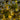 6' Pre-Lit Green Autumn Oak Artificial Fall Tree with 250 Warm White LED Lights