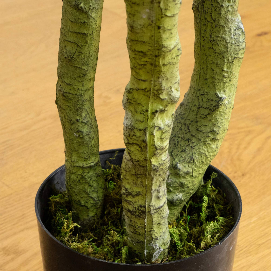 Nearly Natural 6 ft. UV Resistant Artificial Bird Nest Fern Tree (Indoor/Outdoor)