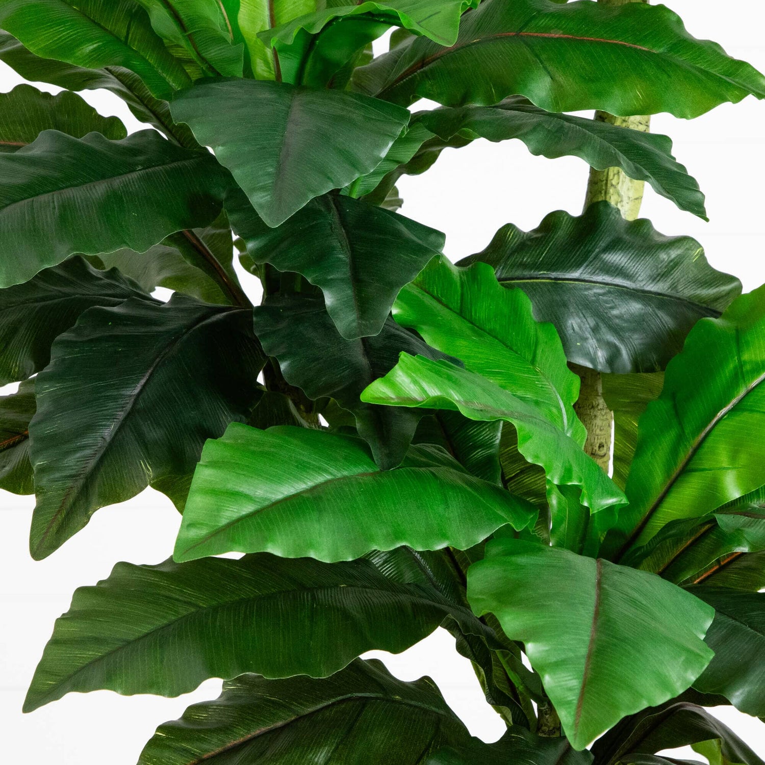 6' UV Resistant Artificial Bird Nest Fern Tree (Indoor/Outdoor)