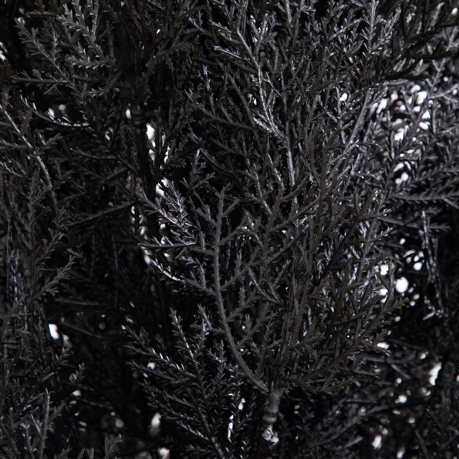 6' UV Resistant Artificial Halloween Black Cedar Tree (Indoor/Outdoor)