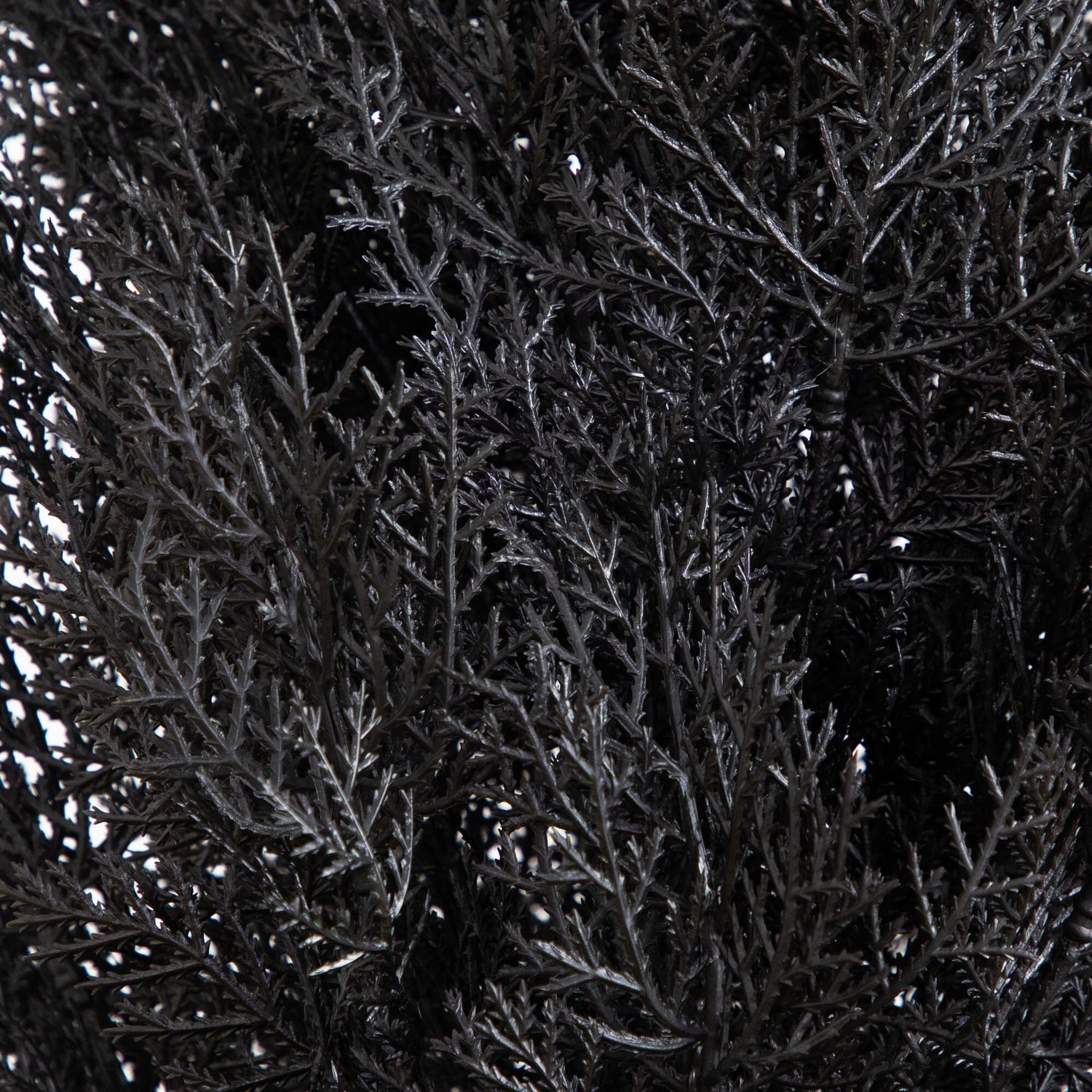 6' UV Resistant Artificial Halloween Black Cedar Tree (Indoor/Outdoor)