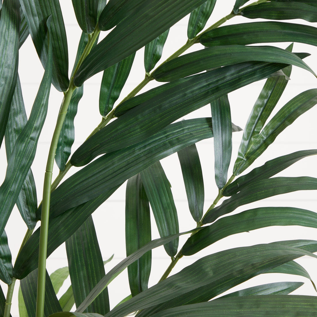 palm leaf tree plant Nearly Natural 6-ft Kentia Palm Tree