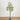 6’ Lighted Artificial Fruiting Olive Tree with 280 Warm White LED Lights