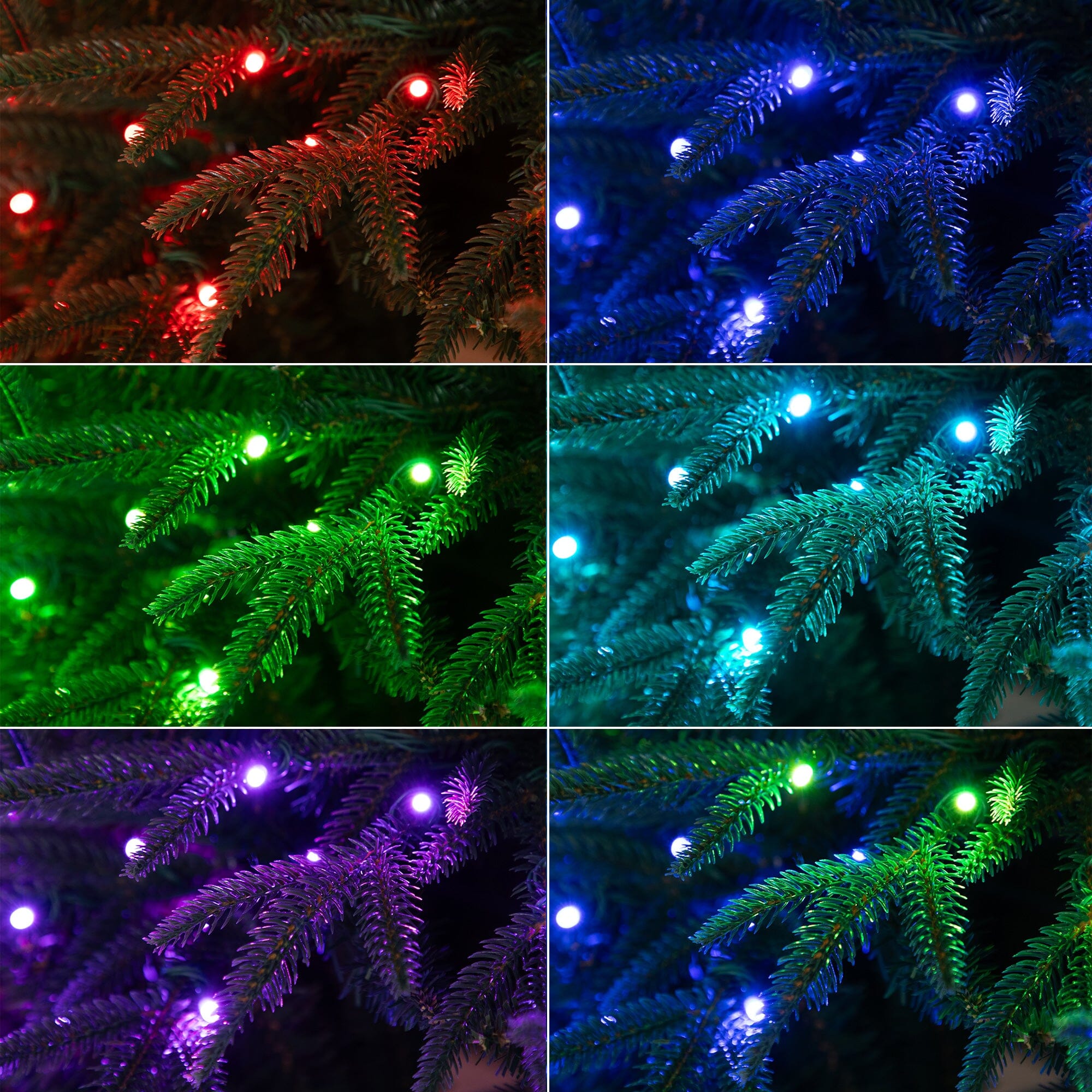6’ PreLit Artificial Edmonton Fir Light Show Memory Shape Christmas