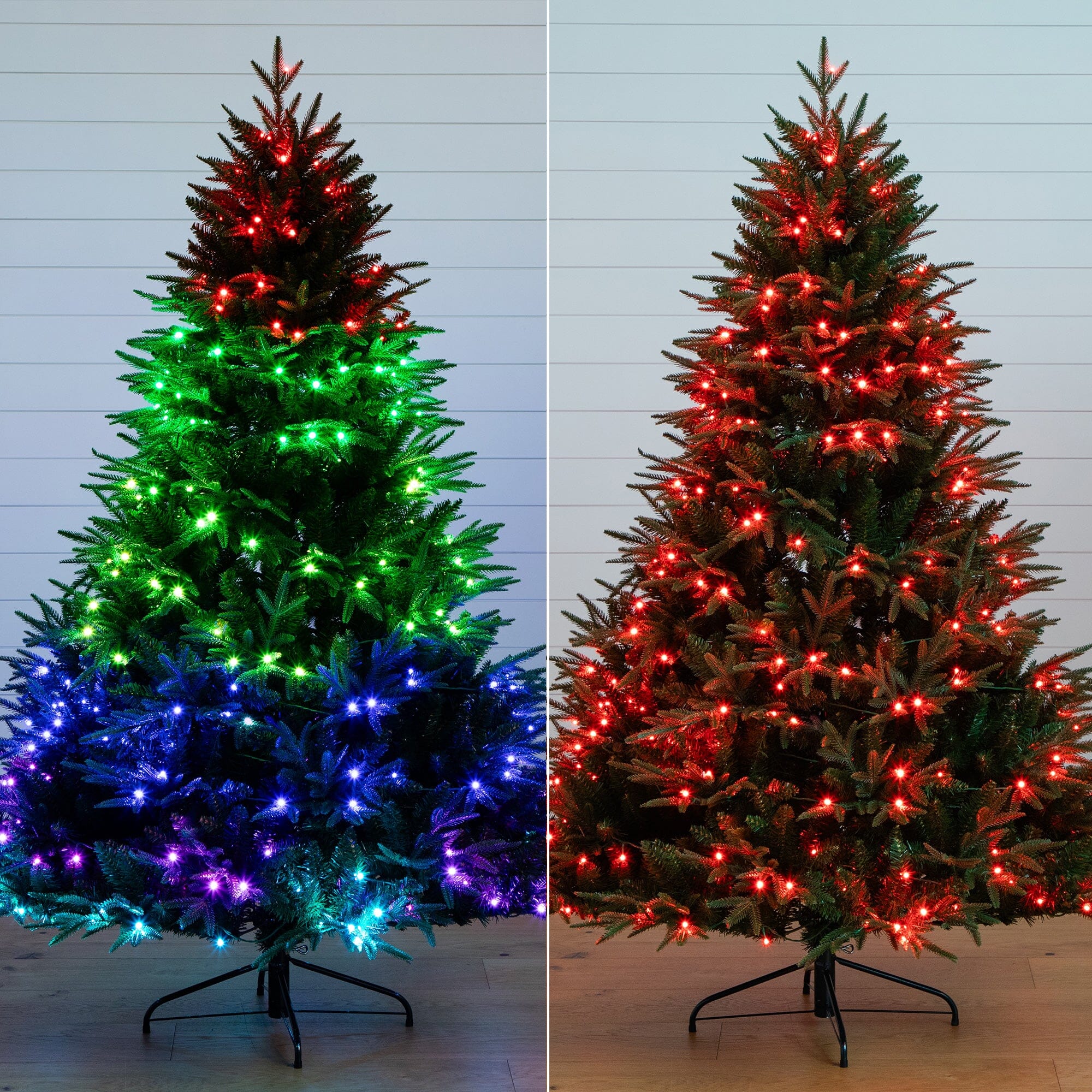 6’ PreLit Artificial Edmonton Fir Light Show Memory Shape Christmas