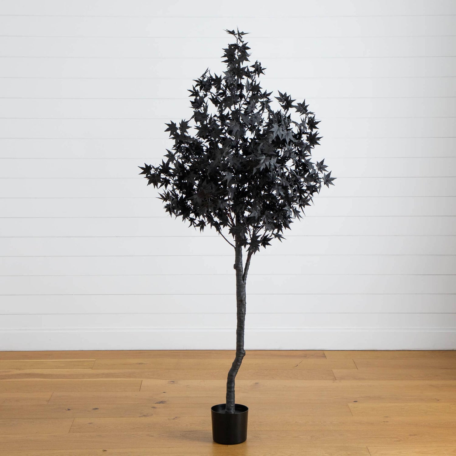 6' Pre-Lit Artificial Halloween Black Maple Tree with 300 Orange & Purple LED Lights