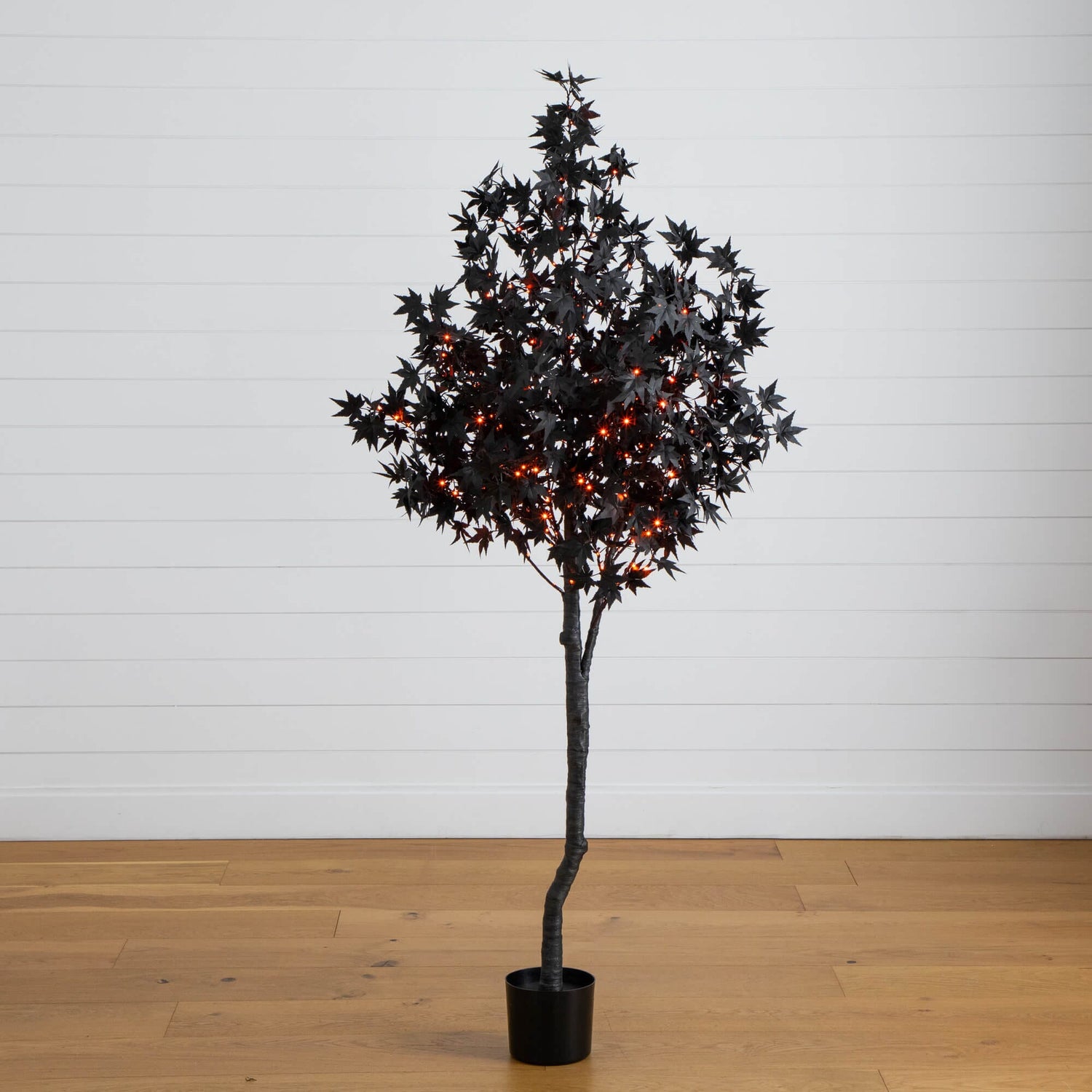 6' Pre-Lit Artificial Halloween Black Maple Tree with 300 Orange & Purple LED Lights