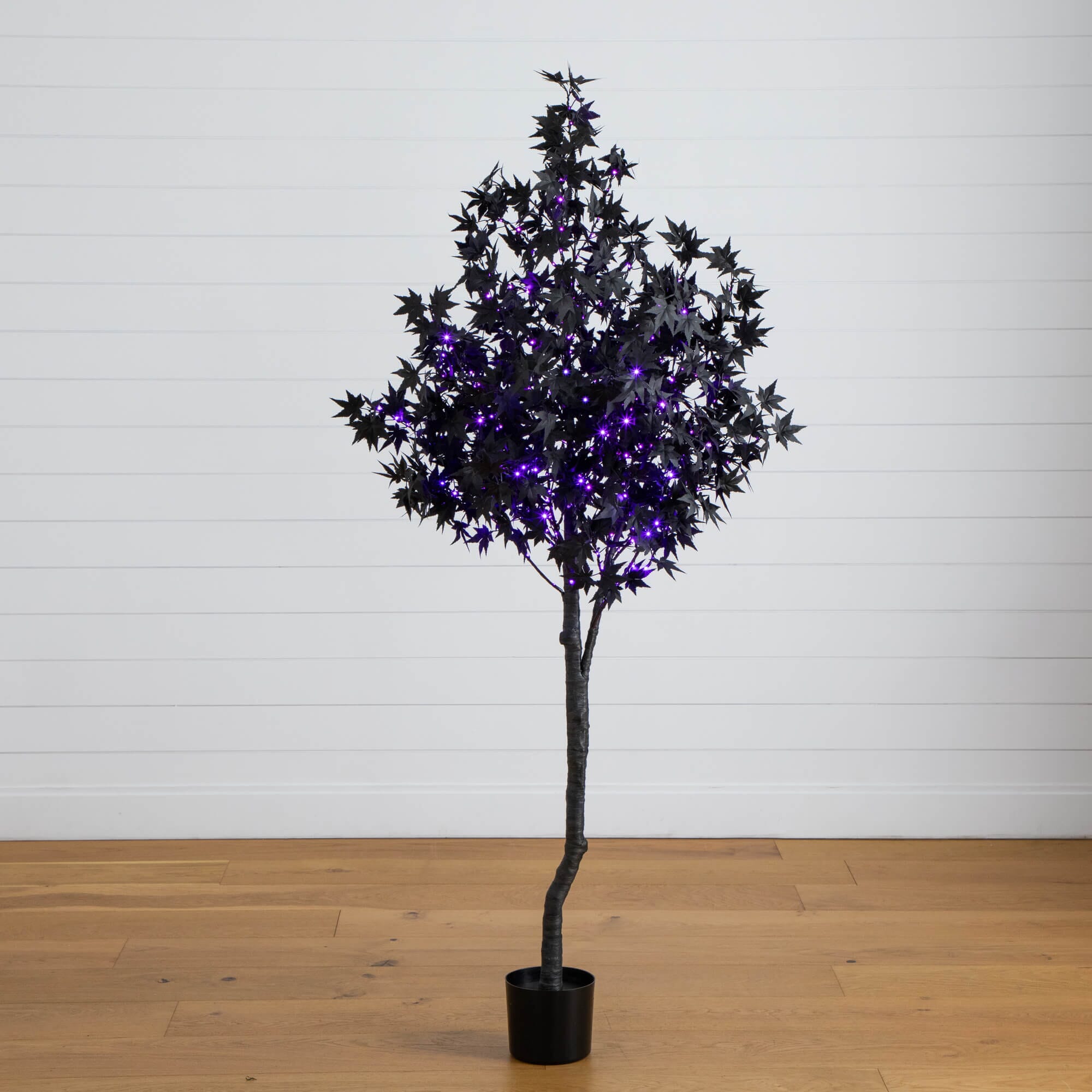 6' Pre-Lit Artificial Halloween Black Maple Tree with 300 Orange
