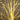 6’ Pre-Lit Artificial White Birch Tree with 300 Warm White LED Lights