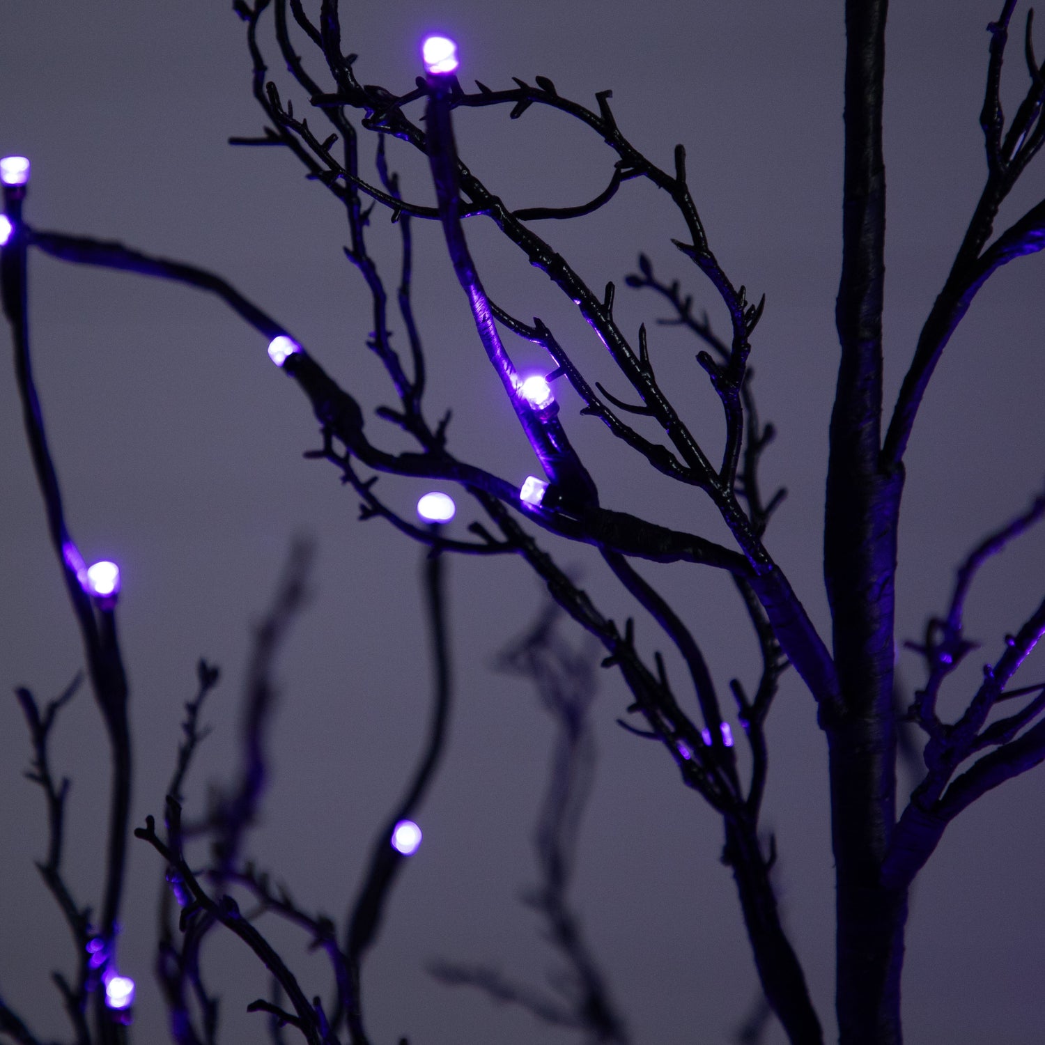 6’ Pre-Lit Halloween Black Twig Artificial Tree with 300 Orange & Purple LED Lights
