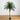 6' Robellini Palm Artificial Tree