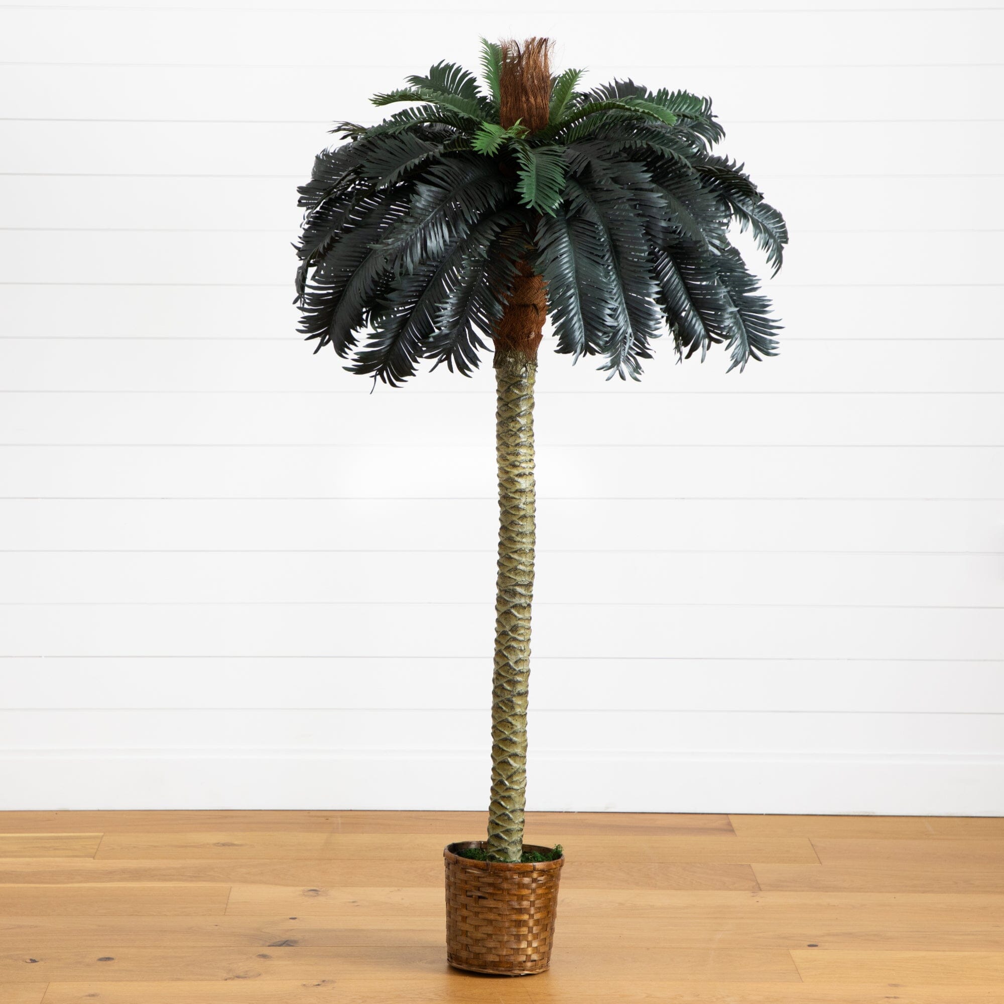 6' Sago Palm Silk Tree | Nearly Natural