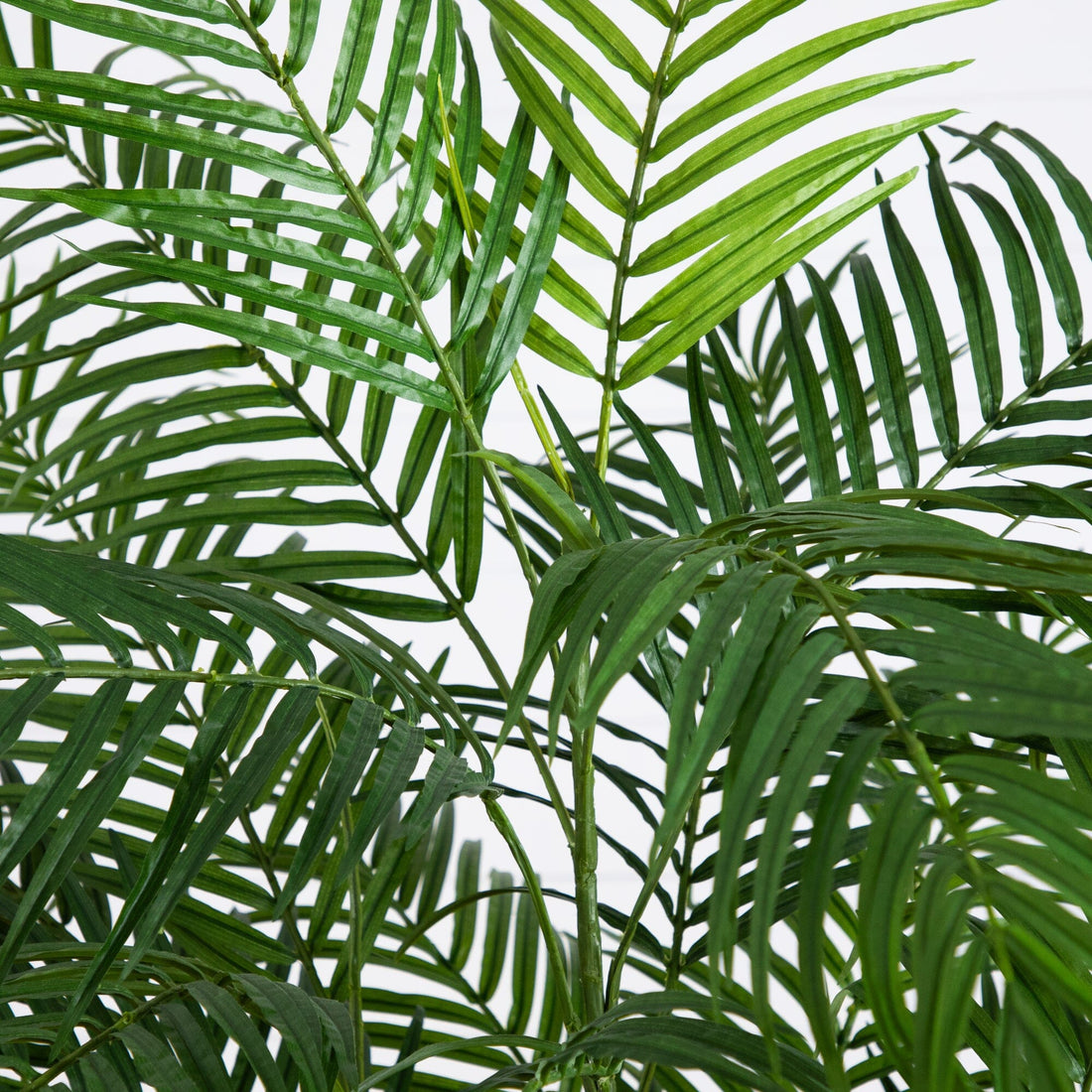nearly natural areca palm silk tree 6' Tropic Artificial Areca Palm Silk Tree