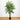 6' Tropic Artificial Areca Palm Silk Tree