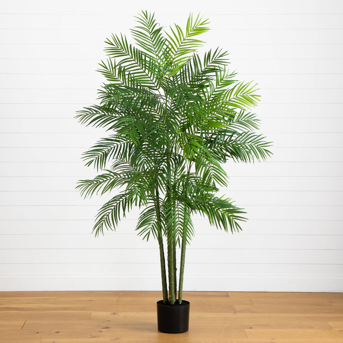 adagascan areca palm 6' Tropic Artificial Areca Palm Silk Tree