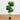 6' UV Resistant Artificial Bird Nest Fern Tree (Indoor/Outdoor)