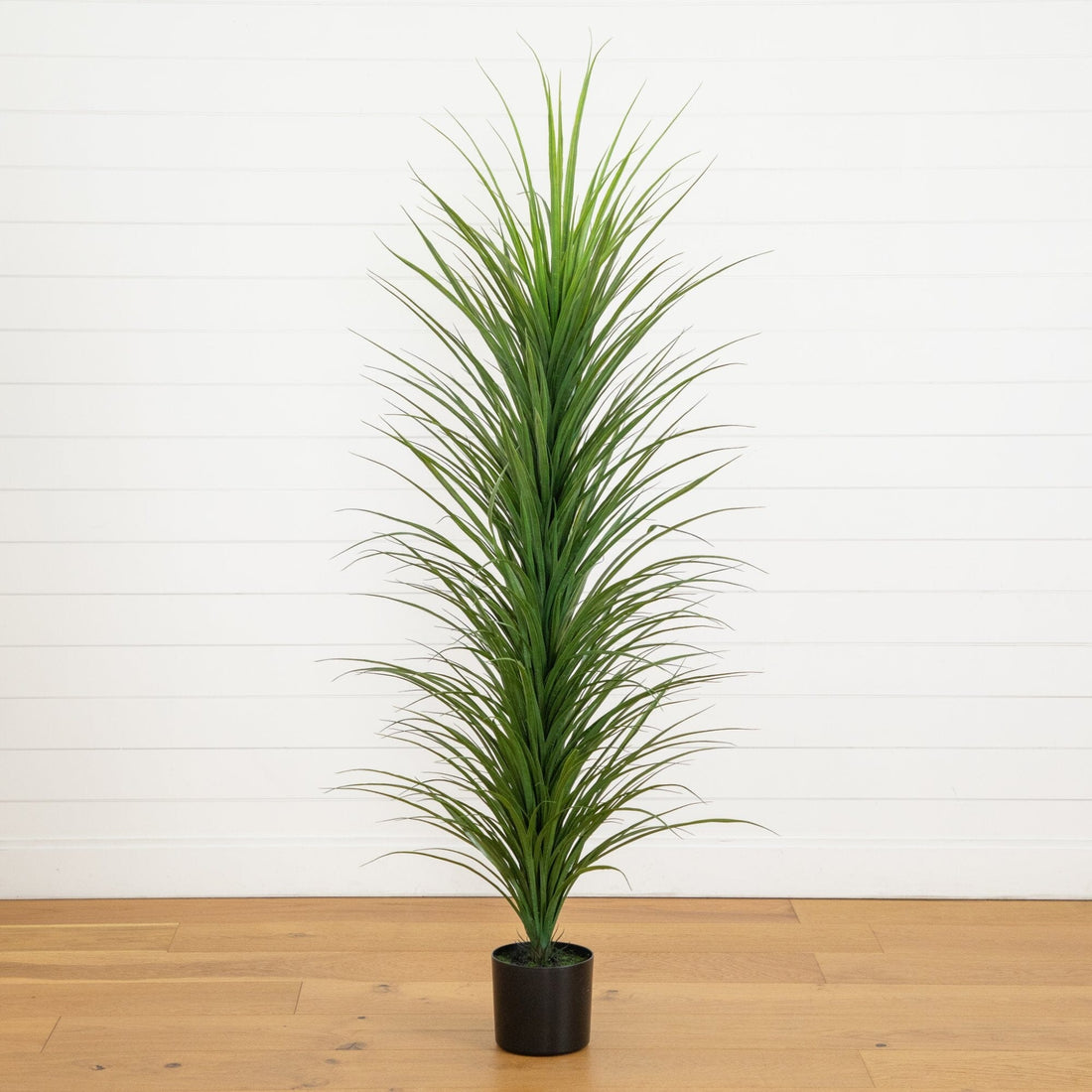 grassy indoor plants 6' UV Resistant Artificial Grass Plant (Indoor/Outdoor) – Nearly Natural