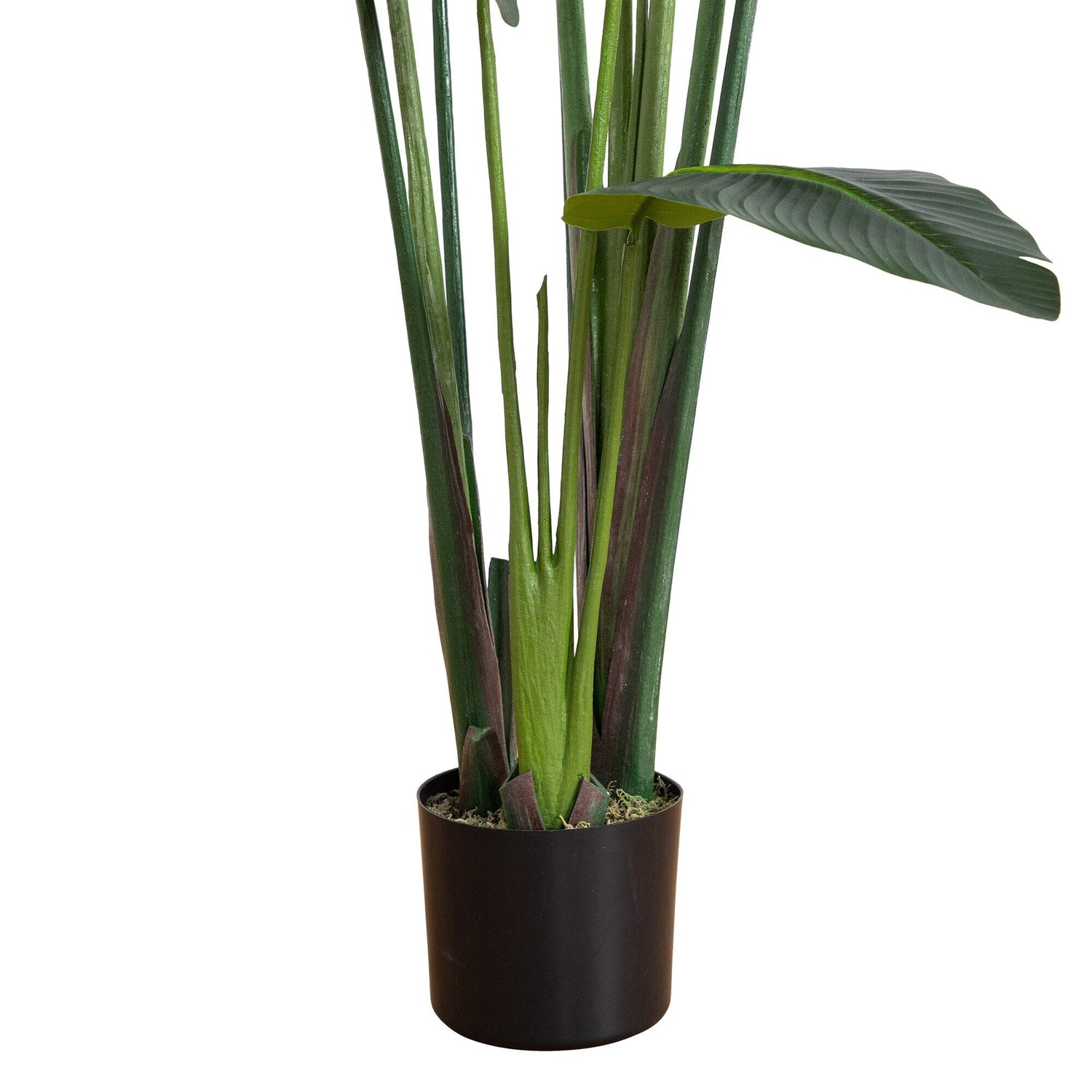 6’ UV Resistant Artificial Travelers Palm Tree (Indoor/Outdoor)
