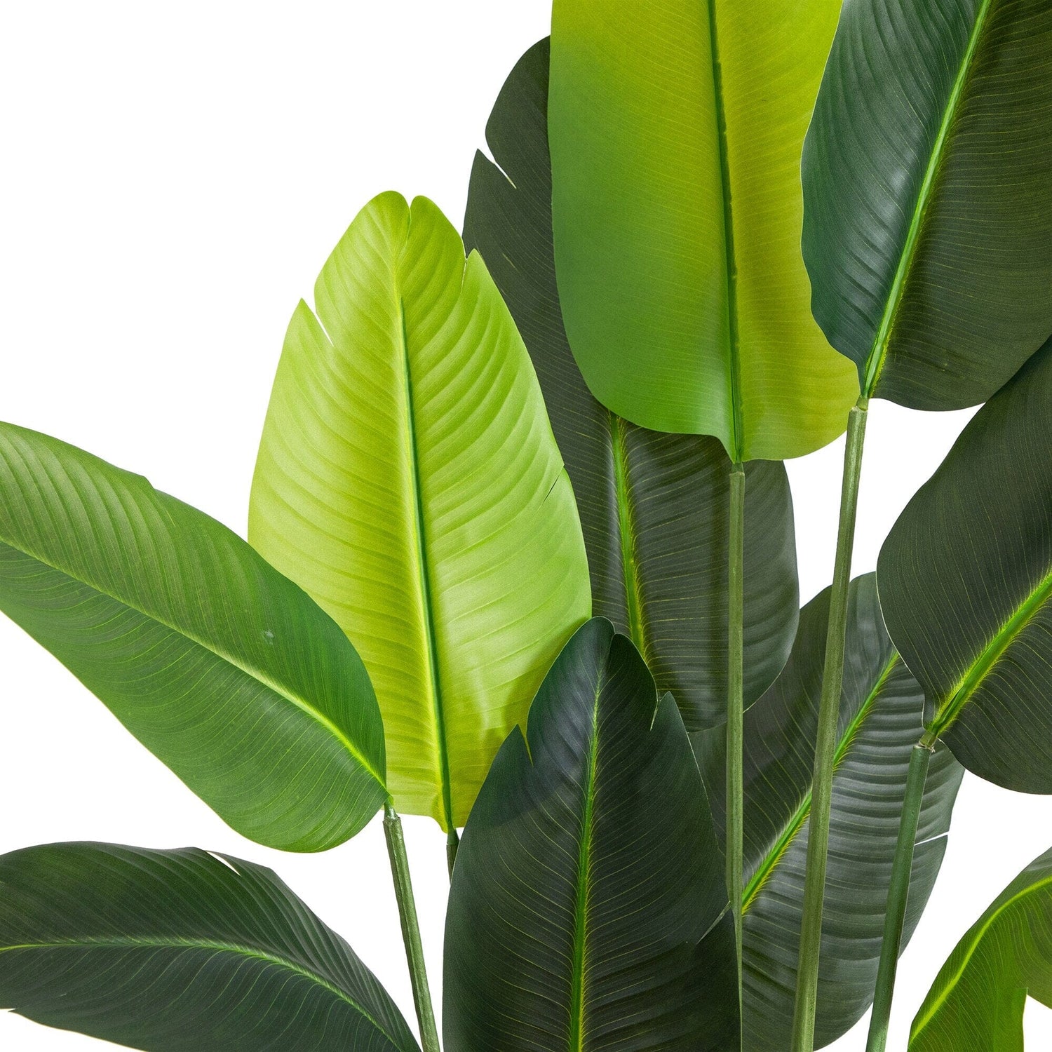 6’ UV Resistant Artificial Travelers Palm Tree (Indoor/Outdoor)