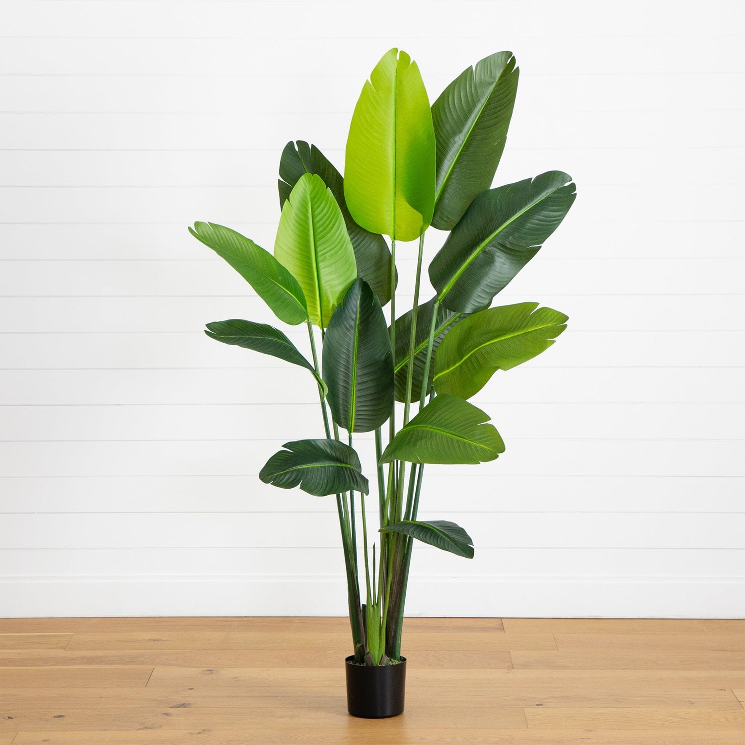 6’ UV Resistant Artificial Travelers Palm Tree (Indoor/Outdoor)