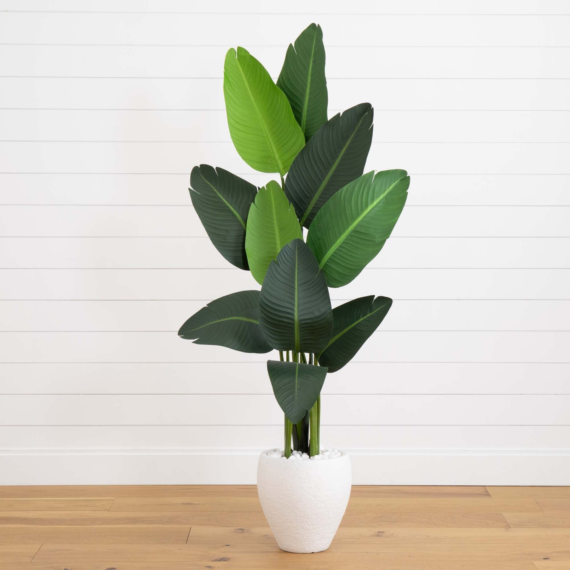 63” Traveler's Palm Artificial tree in White Planter | Nearly Natural