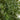 64” Bamboo Artificial Tree with Green Trunks UV Resistant (Indoor/Outdoor)