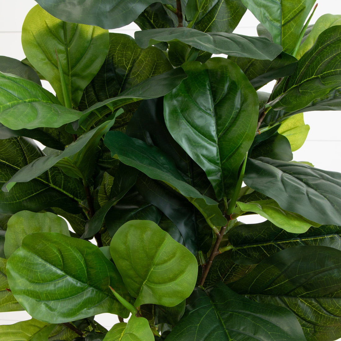 real touch fiddle leaf fig Nearly Natural 64-in Fiddle Leaf Artificial Tree (Real Touch)