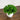 6.5” Artificial Mixed Grass Plant in White Planter - Set of 3