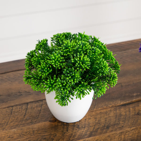 6.5” Artificial Mixed Grass Plant in White Planter - Set of 3