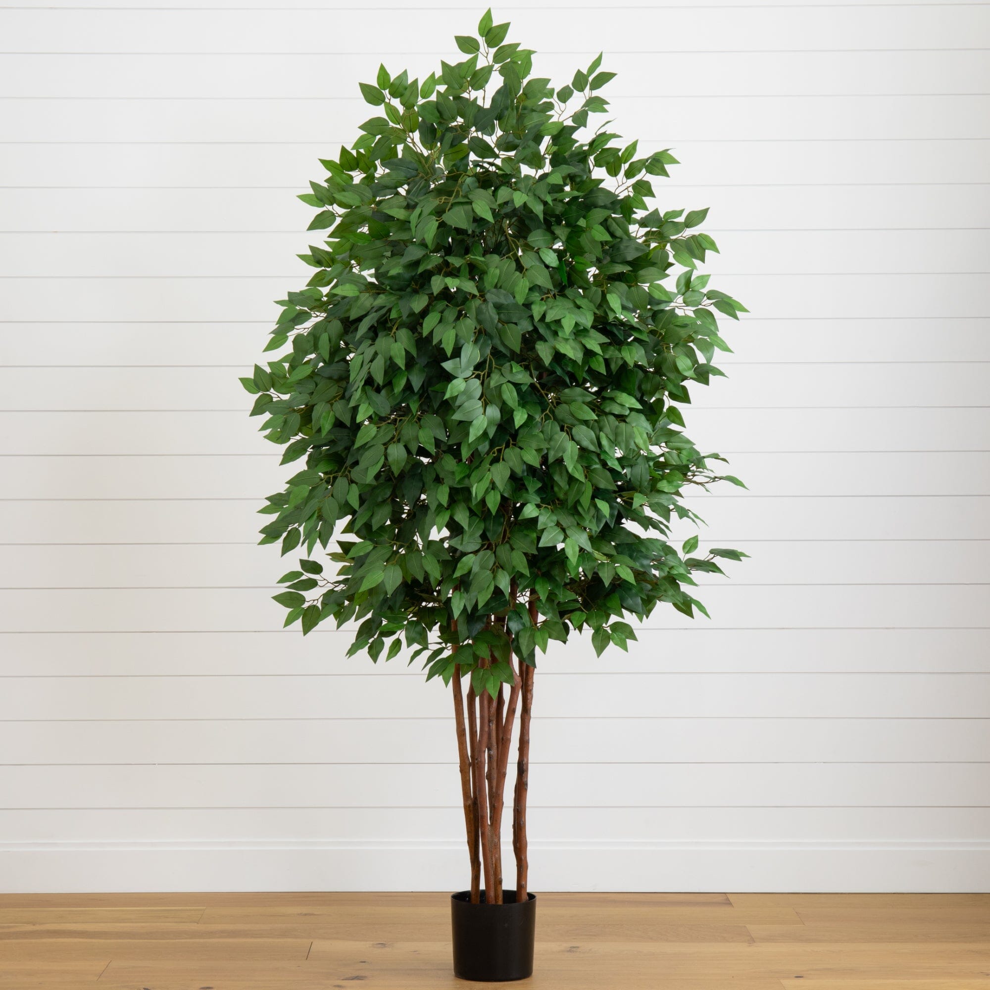 【FICUS】 6.5' Deluxe Ficus Tree | Nearly Natural