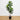 65” Fiddle Leaf Tree UV Resistant (Indoor/Outdoor)
