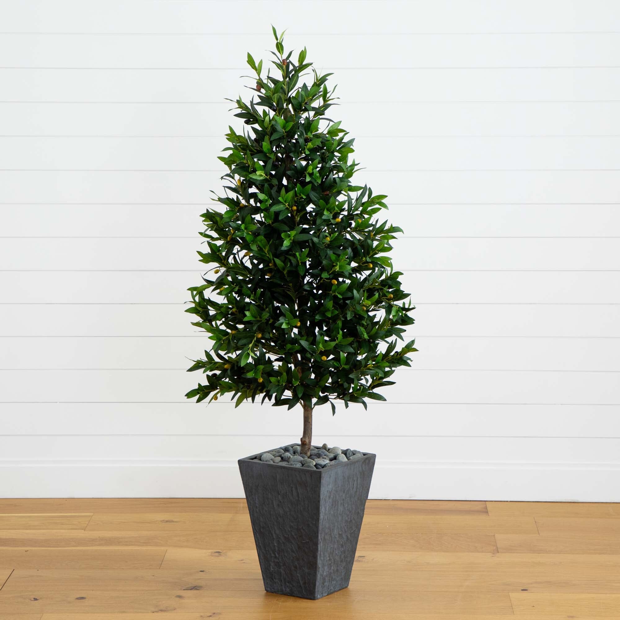 67” Olive Cone Topiary Artificial Tree in Slate Planter UV