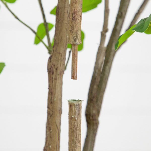 6' Artificial Dogwood Tree with Real Touch Leaves