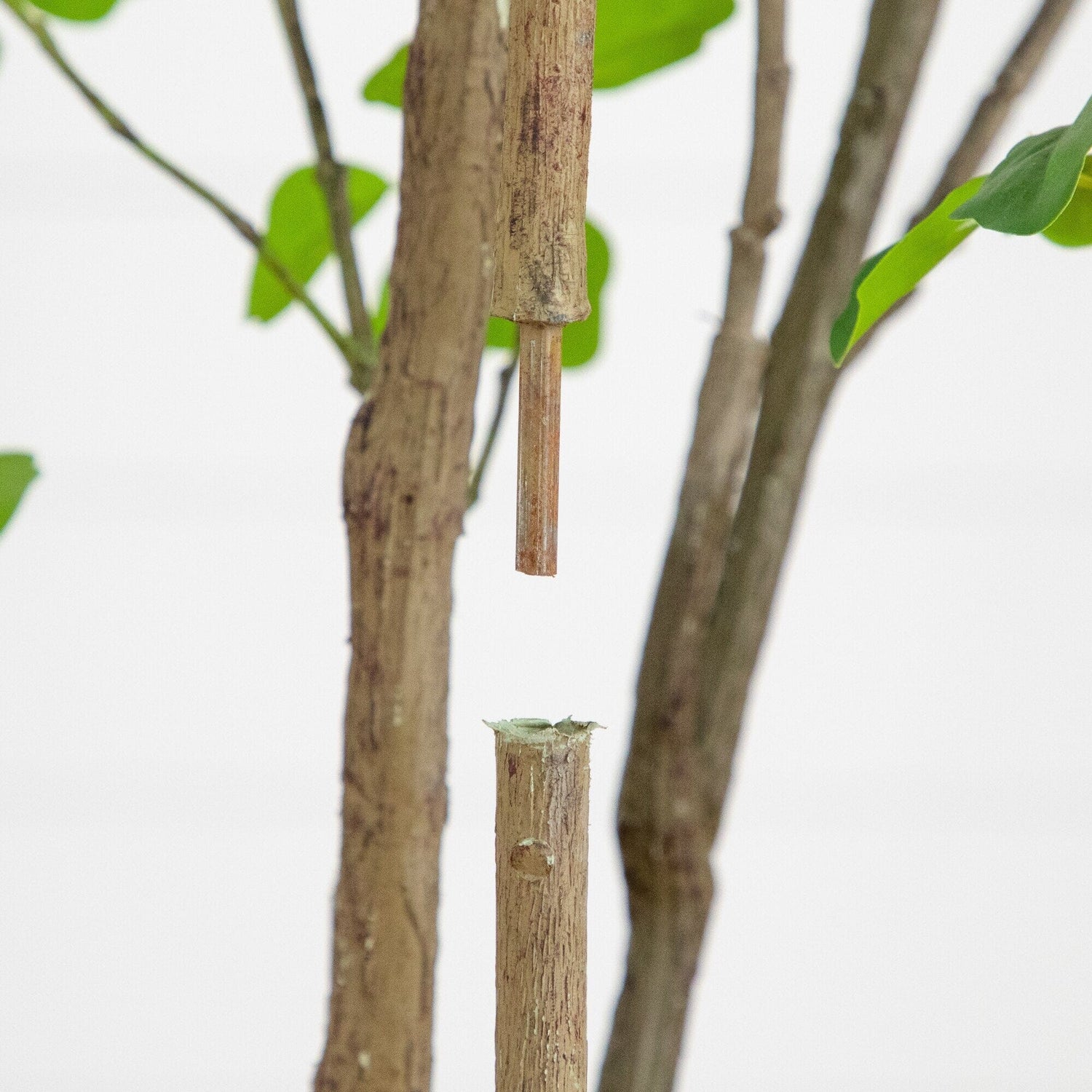 6' Artificial Dogwood Tree with Real Touch Leaves