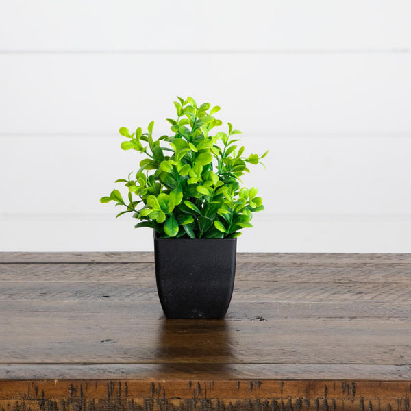 7” Artificial Assorted Green Plant in Black Square Pot - Set of 4