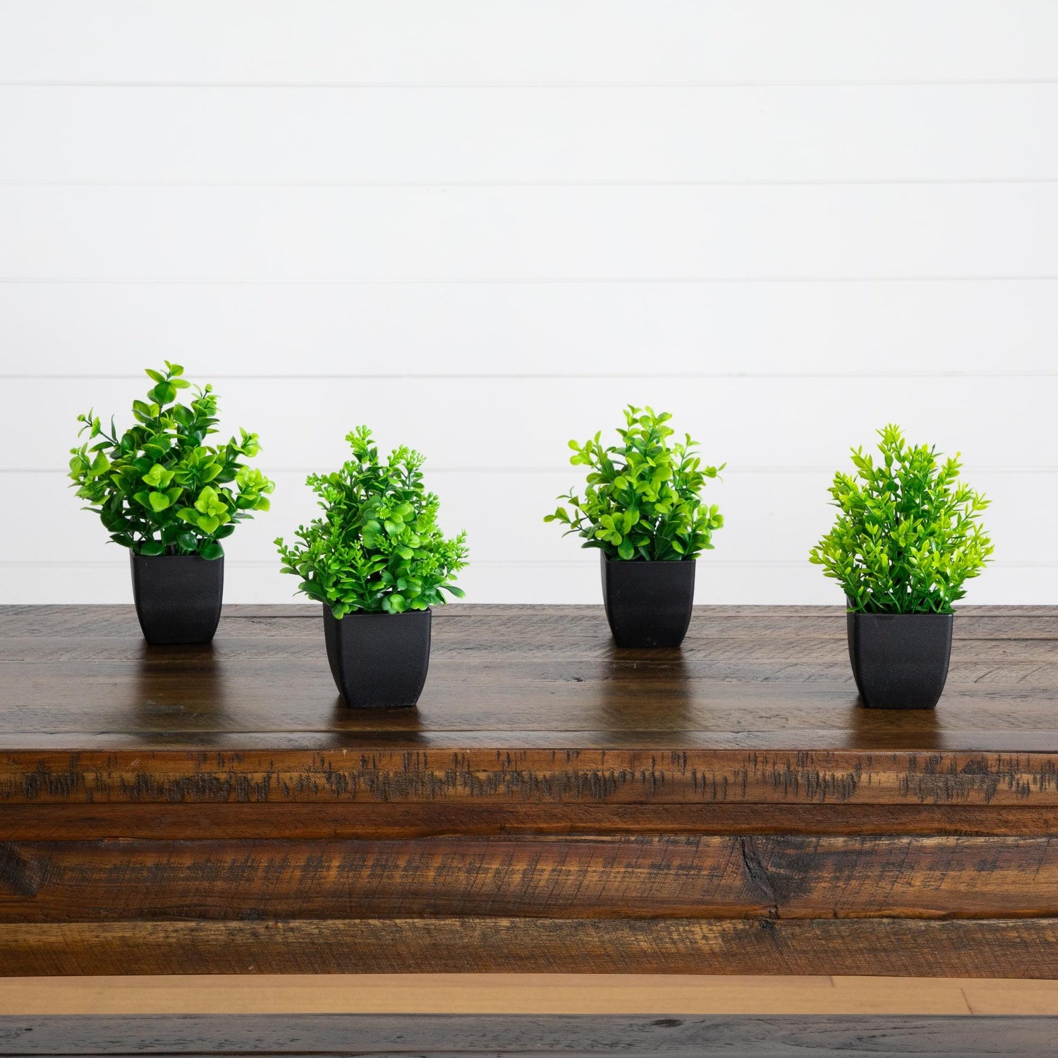 7” Artificial Assorted Green Plant in Black Square Pot - Set of 4
