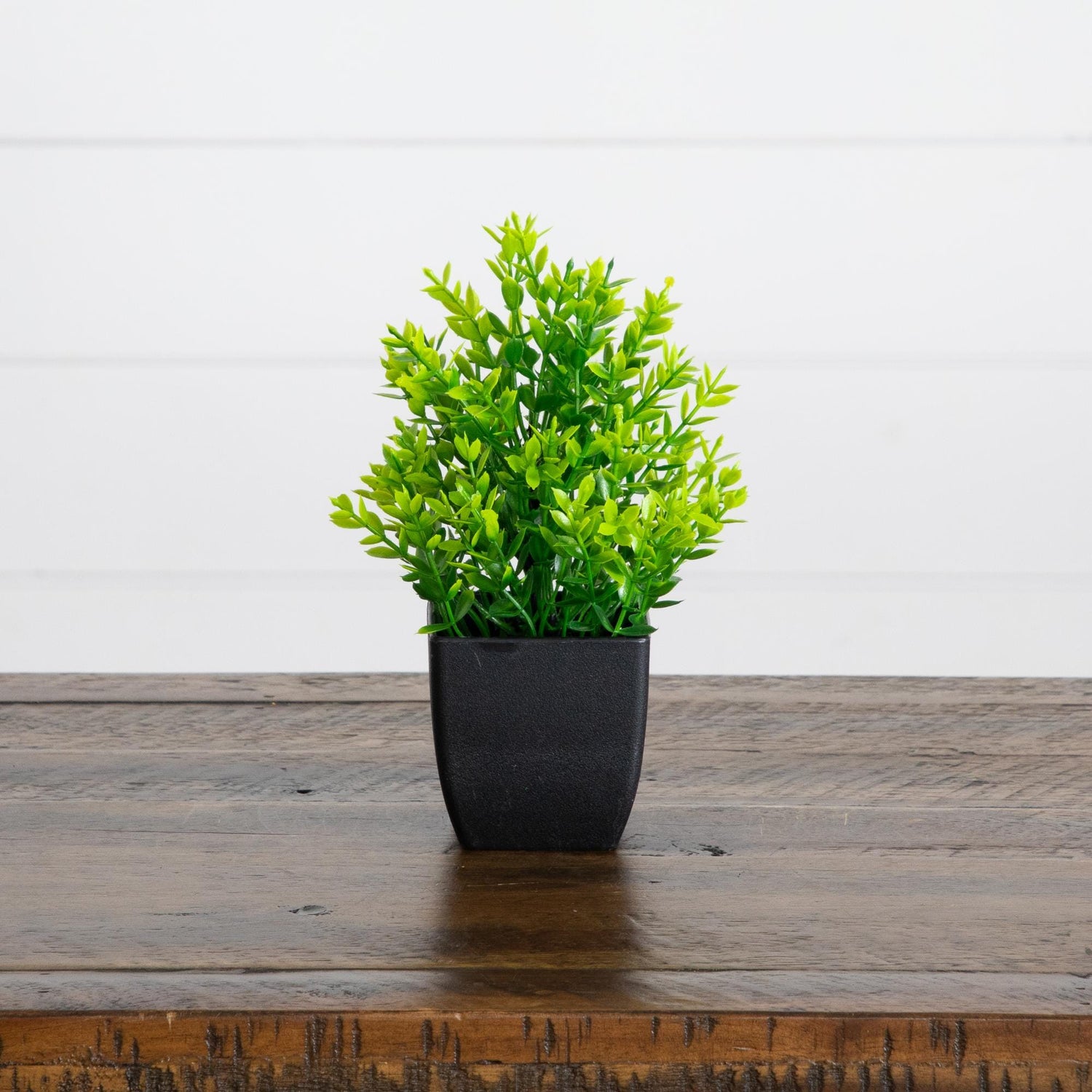 7” Artificial Assorted Green Plant in Black Square Pot - Set of 4