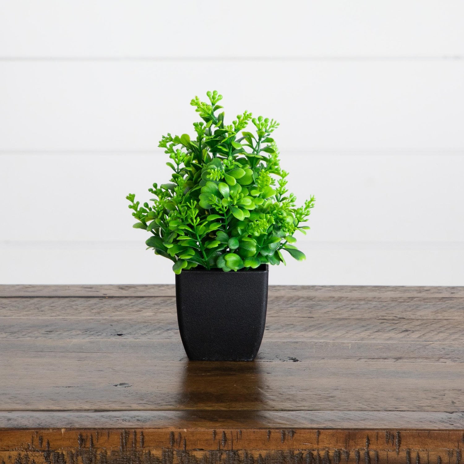7” Artificial Assorted Green Plant in Black Square Pot - Set of 4