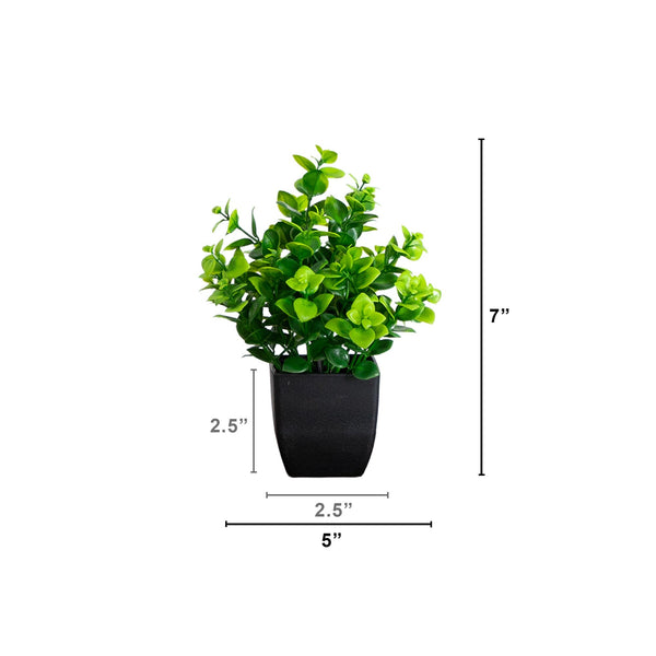 7” Artificial Assorted Green Plant in Black Square Pot - Set of 4
