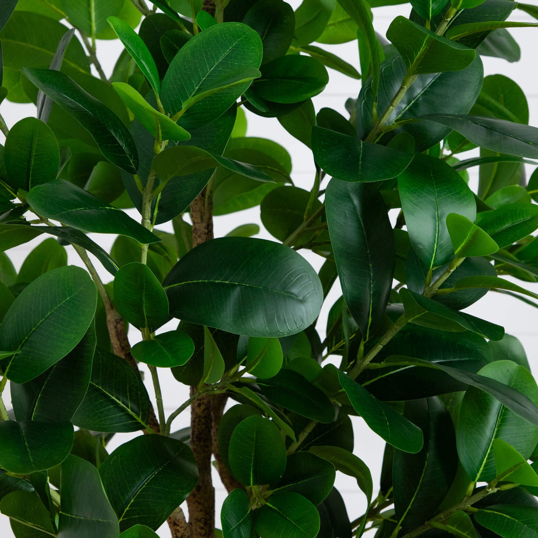 audrey rubber tree 7' Artificial Audrey Ficus Tree