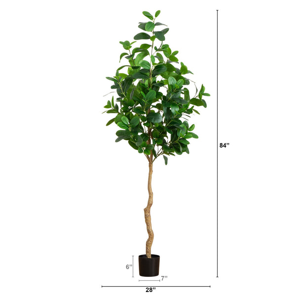 fake ficus audrey 7’ Artificial Audrey Ficus Tree
