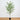 7’ Artificial Birch Tree with Real Touch Leaves