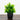 7” Artificial Cedar in Black Square Pot - Set of 3
