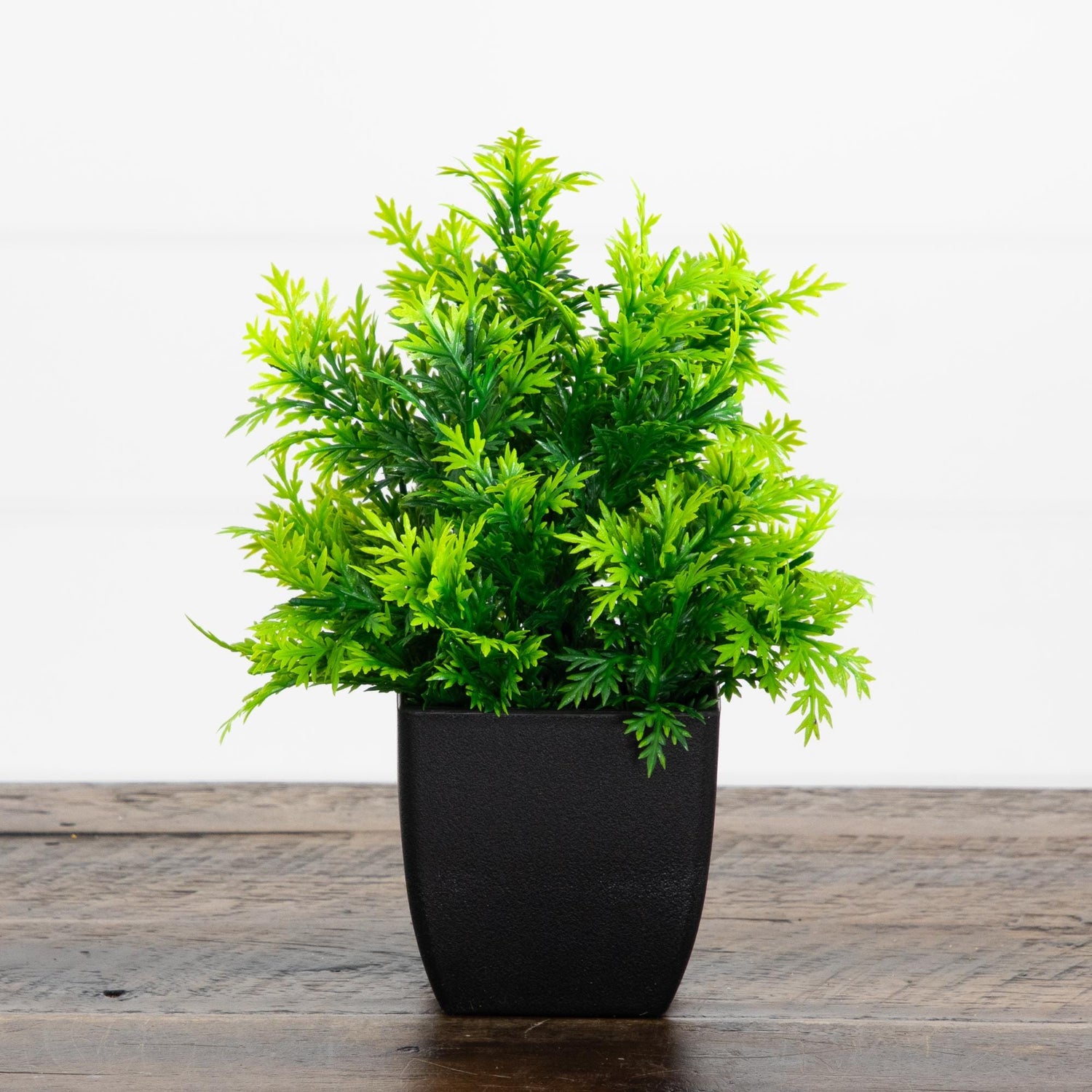 7” Artificial Cedar in Black Square Pot - Set of 3